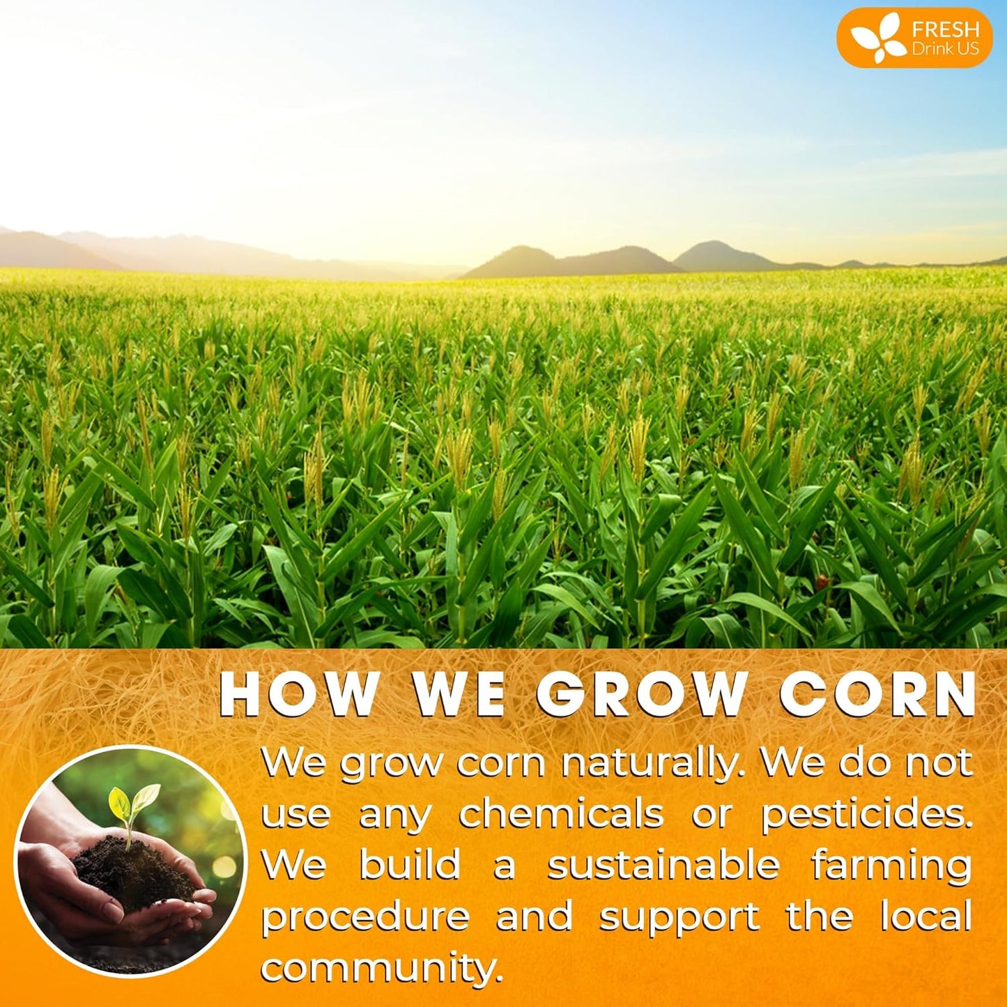 FreshDrinkUS, Premium 75 Tea Bags Corn Silk Tea, 100% Natural & Pure from Corn Silk. Corn Silk Herbal Tea. Clean Ingredients. Made with Natural Material Tea Bags. No Sugar, No Caffeine, Vegan.