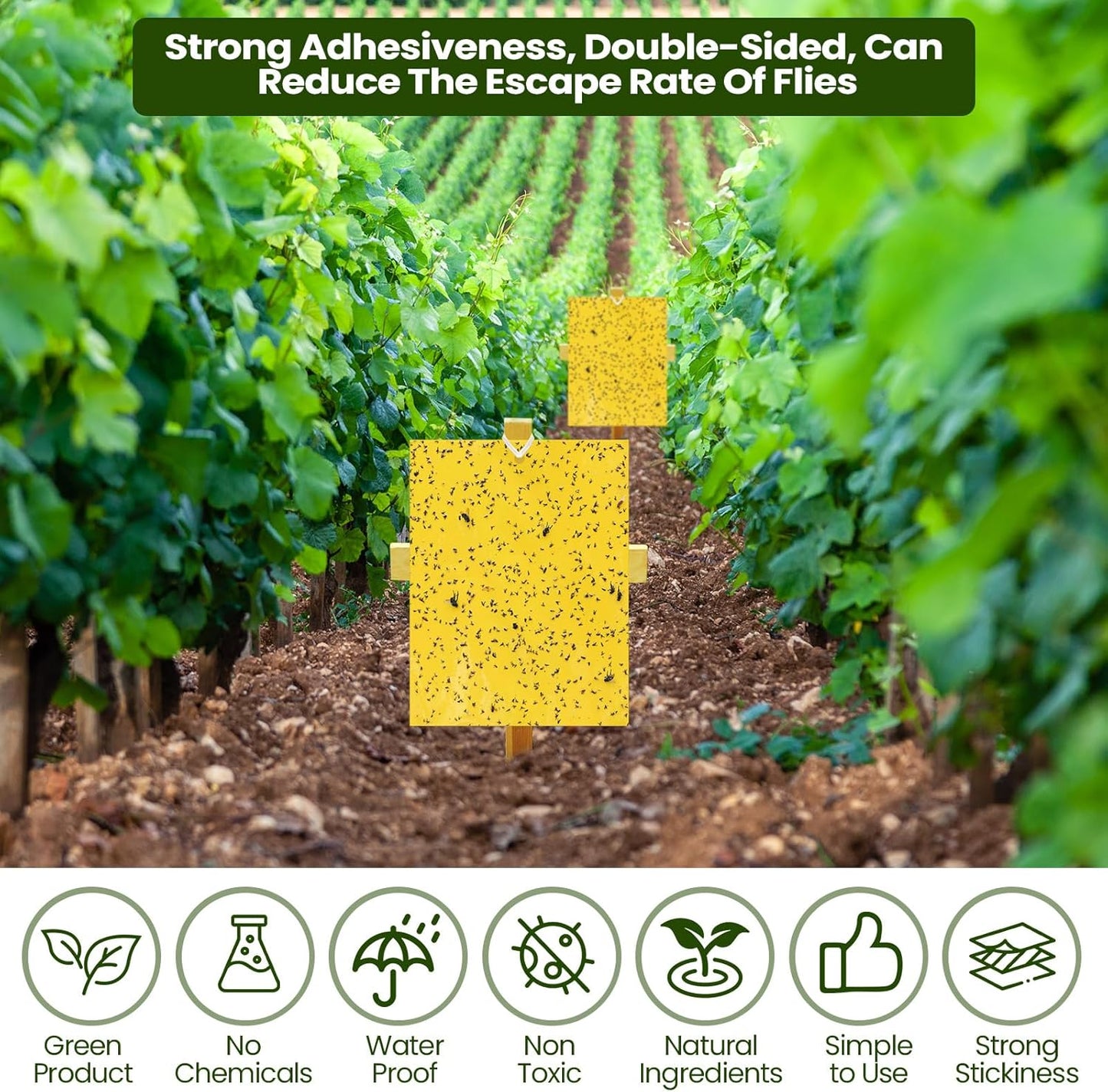 Qualirey 50 Pcs 6 x 8 Inch Sticky Traps for Plant Double Sided Sticky Trap for Gnats with Twist Ties Fly Traps for Fruit Insect Fungus Bugs Indoor Outdoor (Yellow)