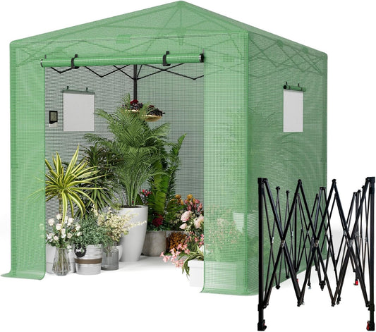 Pop Up Greenhouse 10x10FT, Pop Up Green House for Outdoors, Portable Greenhouses, Walk-in Greenhouses, Popup Greenhouse Kit, Easy Set Up