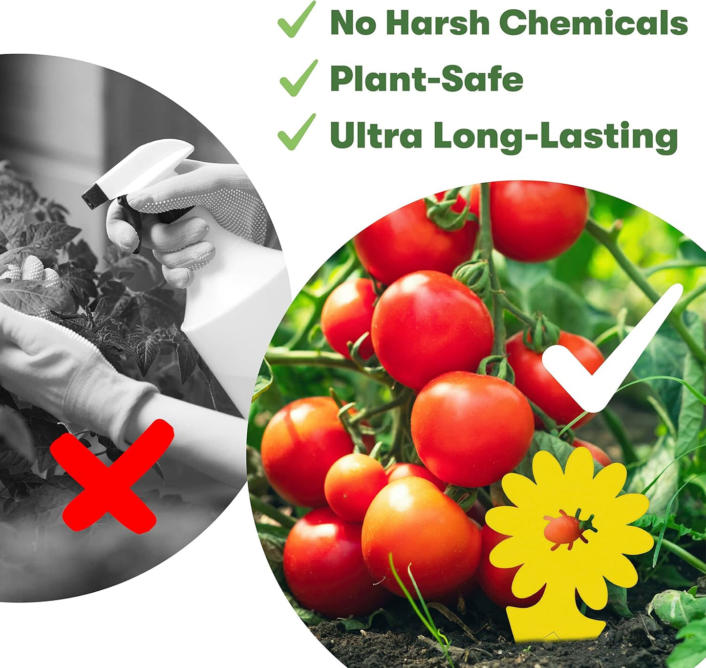 BugMD Sticky Bug Traps (12 Pack) - Indoor Fruit Fly Killer, Fungus Gnat Killer, Plant sticky traps for Bugs, Yellow Sticky Fly Traps for Plants, Gnat for Plants, Odorless