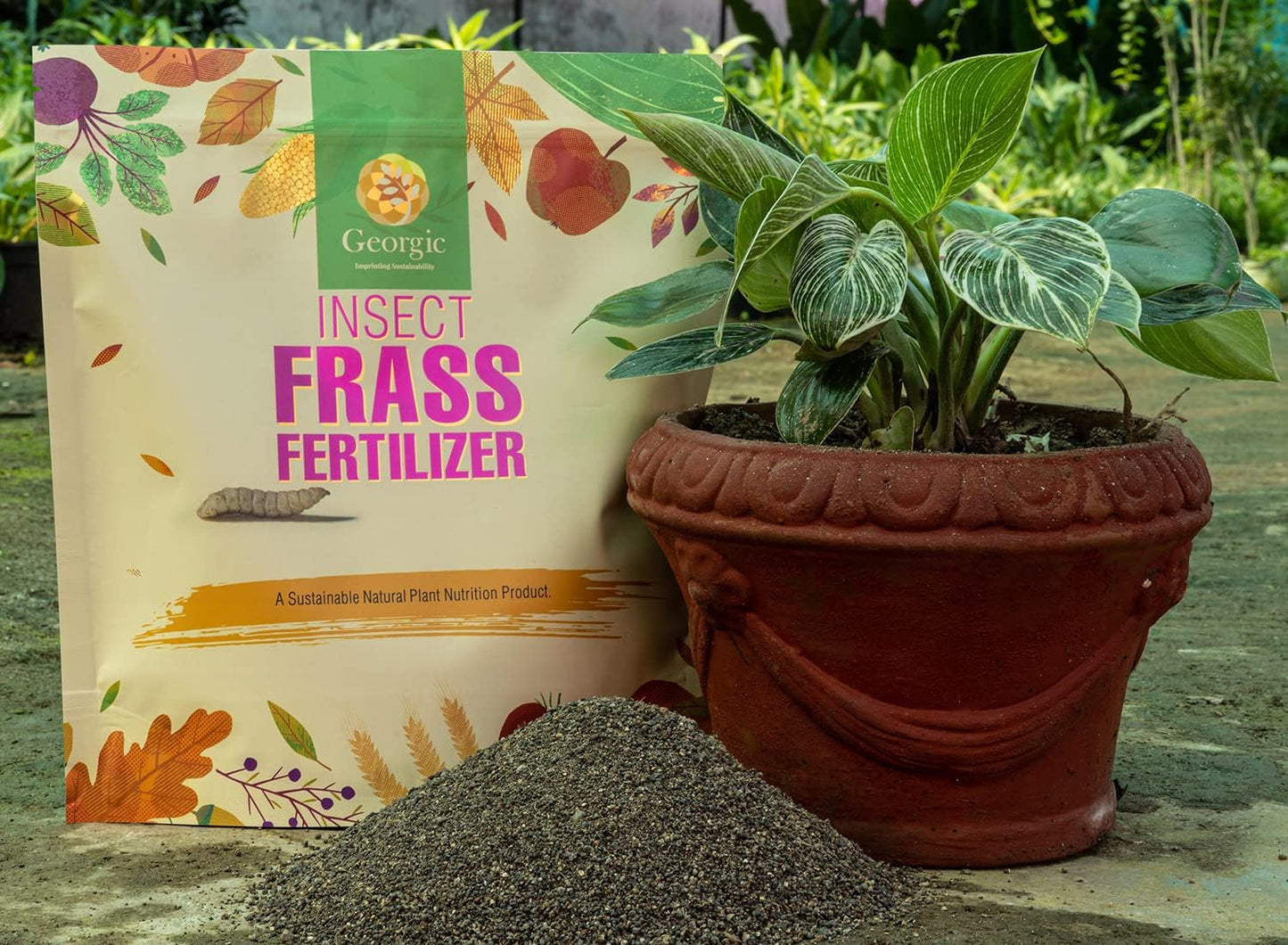 Insect Frass Fertilizer for Soil Amendment, All-Purpose Organic House Plant Food and Fertilizer- Pack of 2