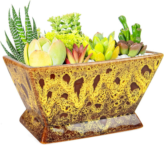 ARTKETTY Succulent Pots - 7 Inch Large Plant Pot with Drainage, Shallow Bonsai Pots Ceramic Succulent Planters for Indoor Outdoor Plants, Modern Cactus Pot Decorative Home Office
