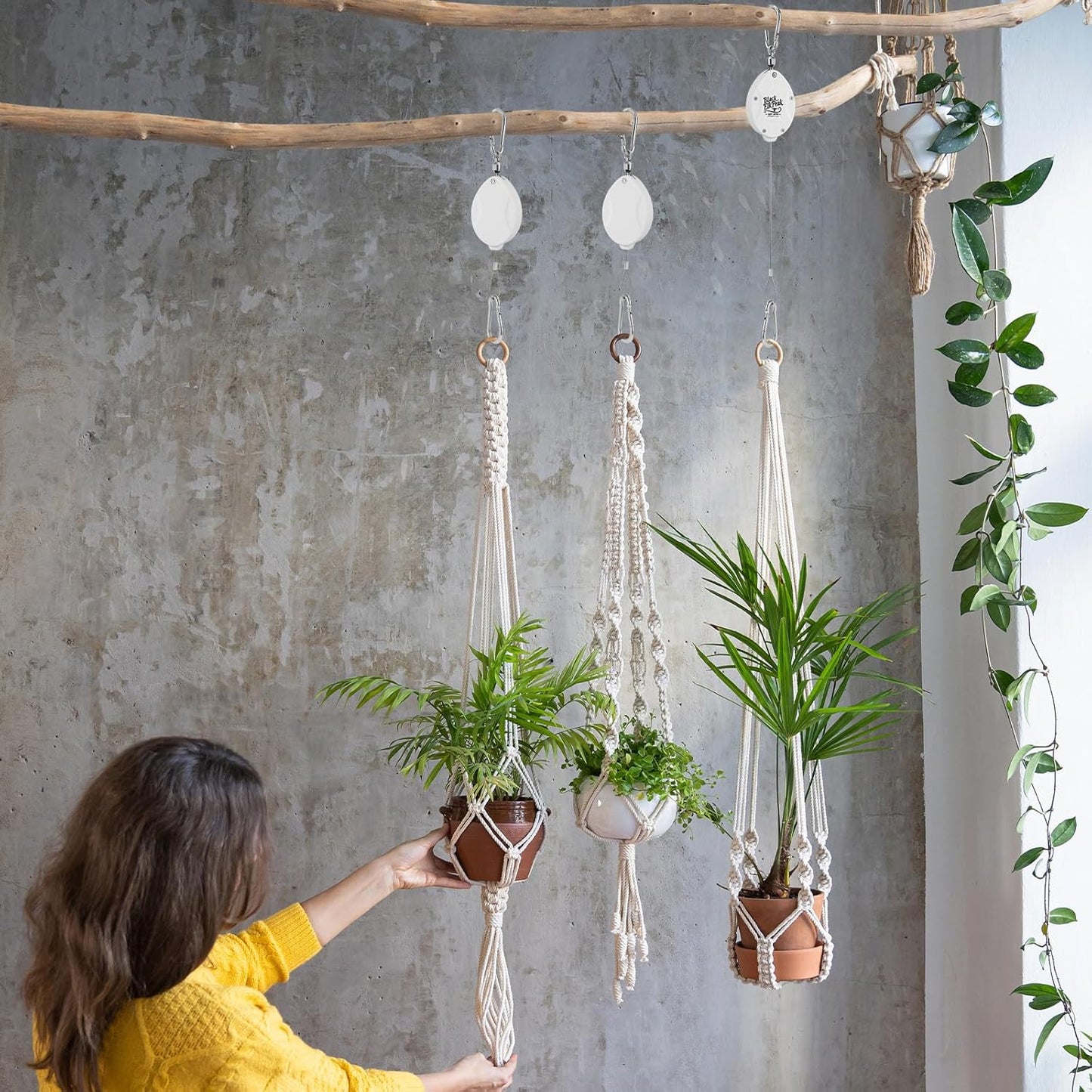 Plant Pulleys for Hanging Plants, Heavy Duty Retractable Hangers, 304 Stainless Steel Rope, Auto Plant Holder, Adjustable Climbing Hook for Garden Baskets Watering, or Bird Feeders (White-4)