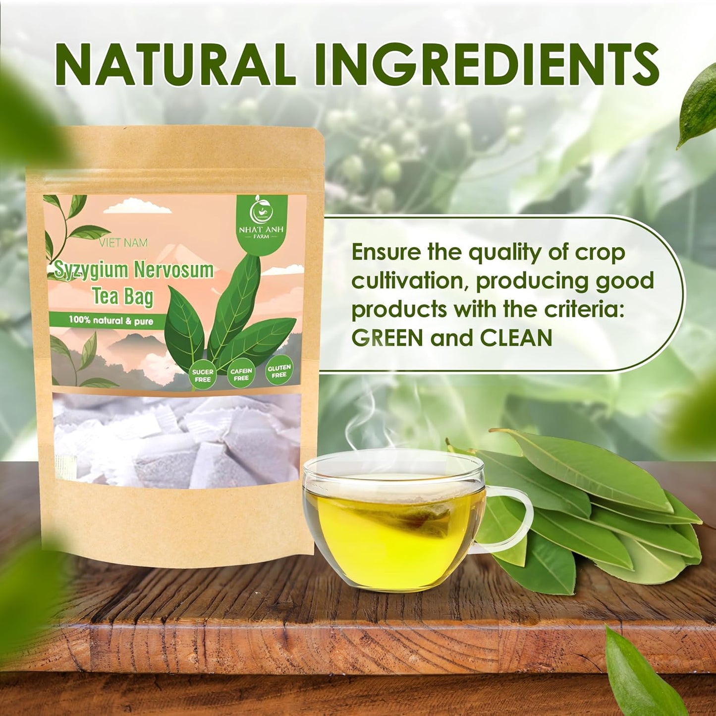 NHAT ANH FARM - Premium Syzygium Nervosum Tea Bags, 40 Syzygium Nervosum Tea Bags, 100% Natural Dried Syzygium Nervosum Leaves, Naturally Sweet Herbal Tea, Sugar-Free, Caffeine-Free, No Additives.