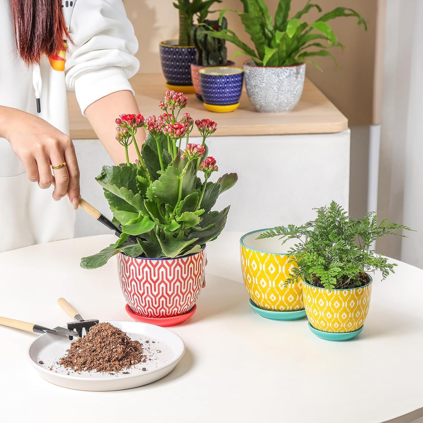 Selamica Ceramic Plant Pots, 4.6 Inch Flower Pots for Indoor Plants, Succulent Pots with Drainage Hole & Saucer, Succulent Planters for Succulent Cactus, Home Decor, Set of 4, Assorted Colors