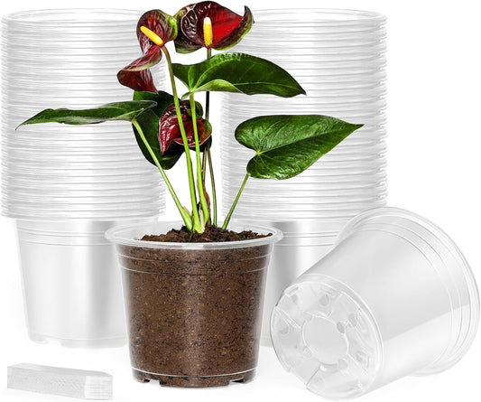 60 Pack 6 Inch Clear Nursery Pots with Drainage Holes, Transparent Plastic Plant Pots, Reinforced Seed Starter Garden Flower Pots, Comes with 50pcs Plant Labels