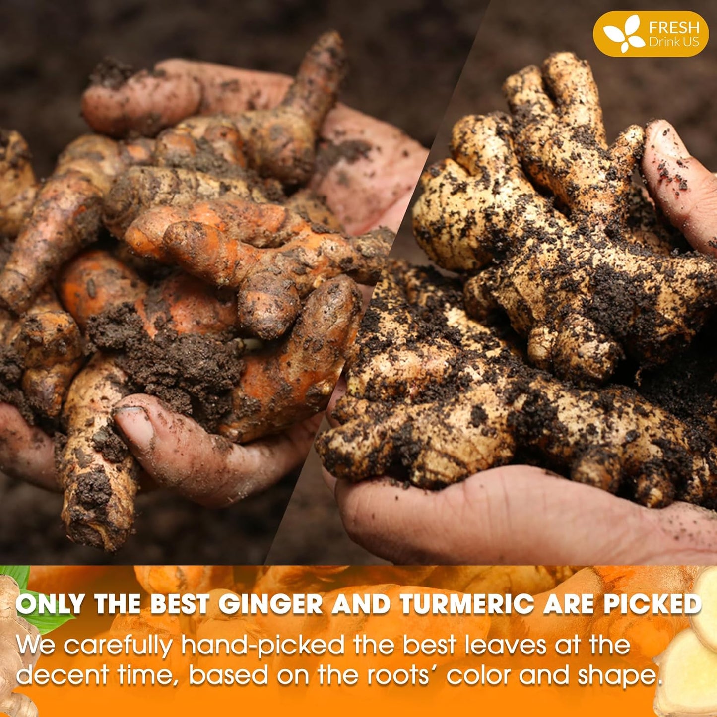 FreshDrinkUS, Premium 85 Ginger Turmeric Tea Bags, 100% Natural Ingredients, Hand-made Blend of Ginger and Turmeric Herbal Tea, Eco-conscious Tea Bags. No Sugar, No Caffeine, No Gluten, Vegan.