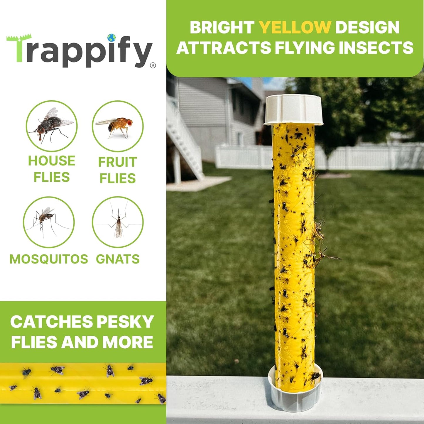Trappify Hanging Fly Traps Outdoor: Fruit Fly Traps for Indoors | Gnat Trap | Gnat Traps for House Indoor | Fly Trap Indoor - Disposable Sticky Fly Trap for Indoor House Pest Control (4 Pack)