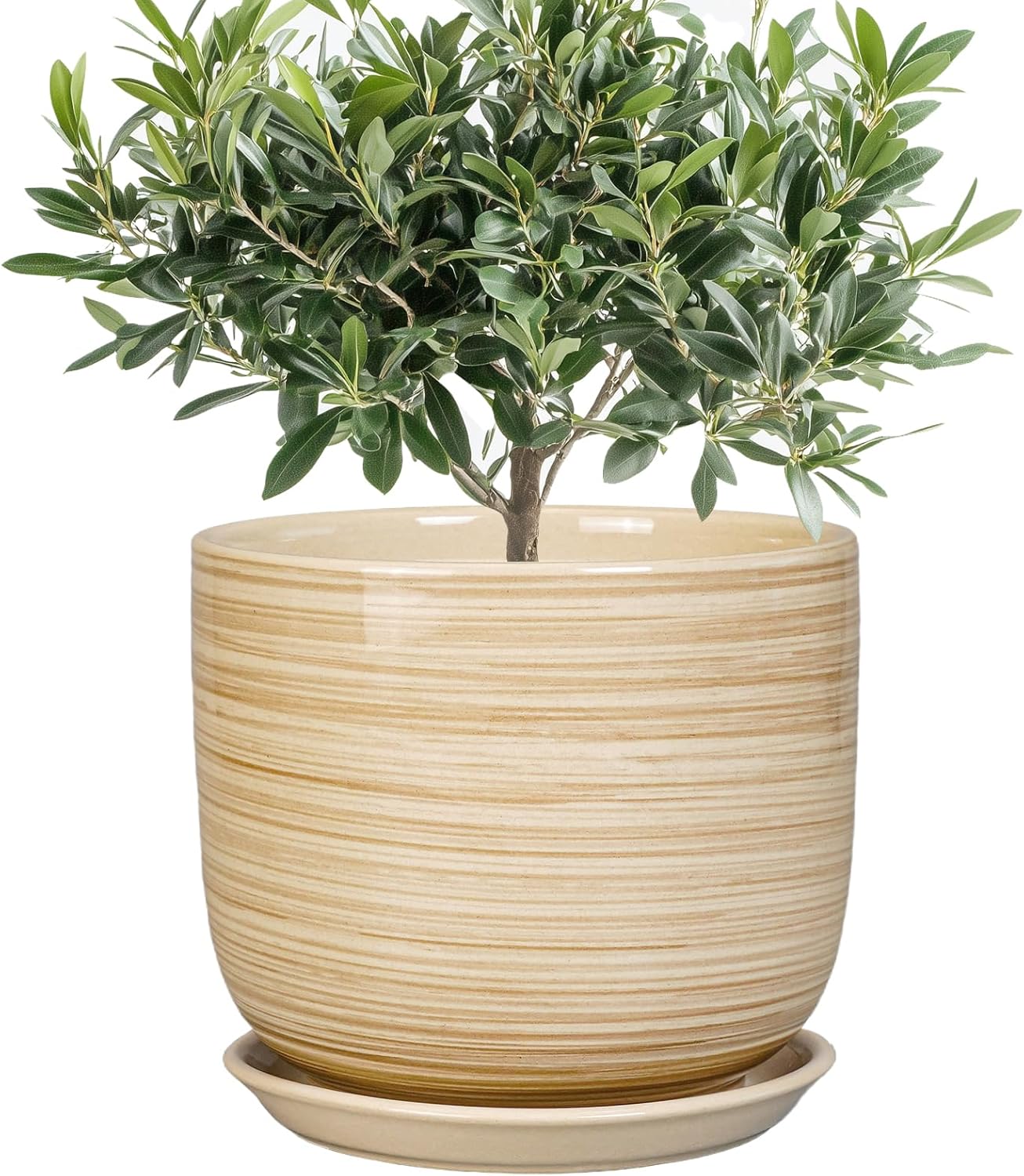 Indoor Plant Pot 8 Inch - Cylinder Modern Ceramic Planter for Indoor Outdoor Plants with Drainage Hole and Saucer, House Office Home Room Desk Decor, Yellow