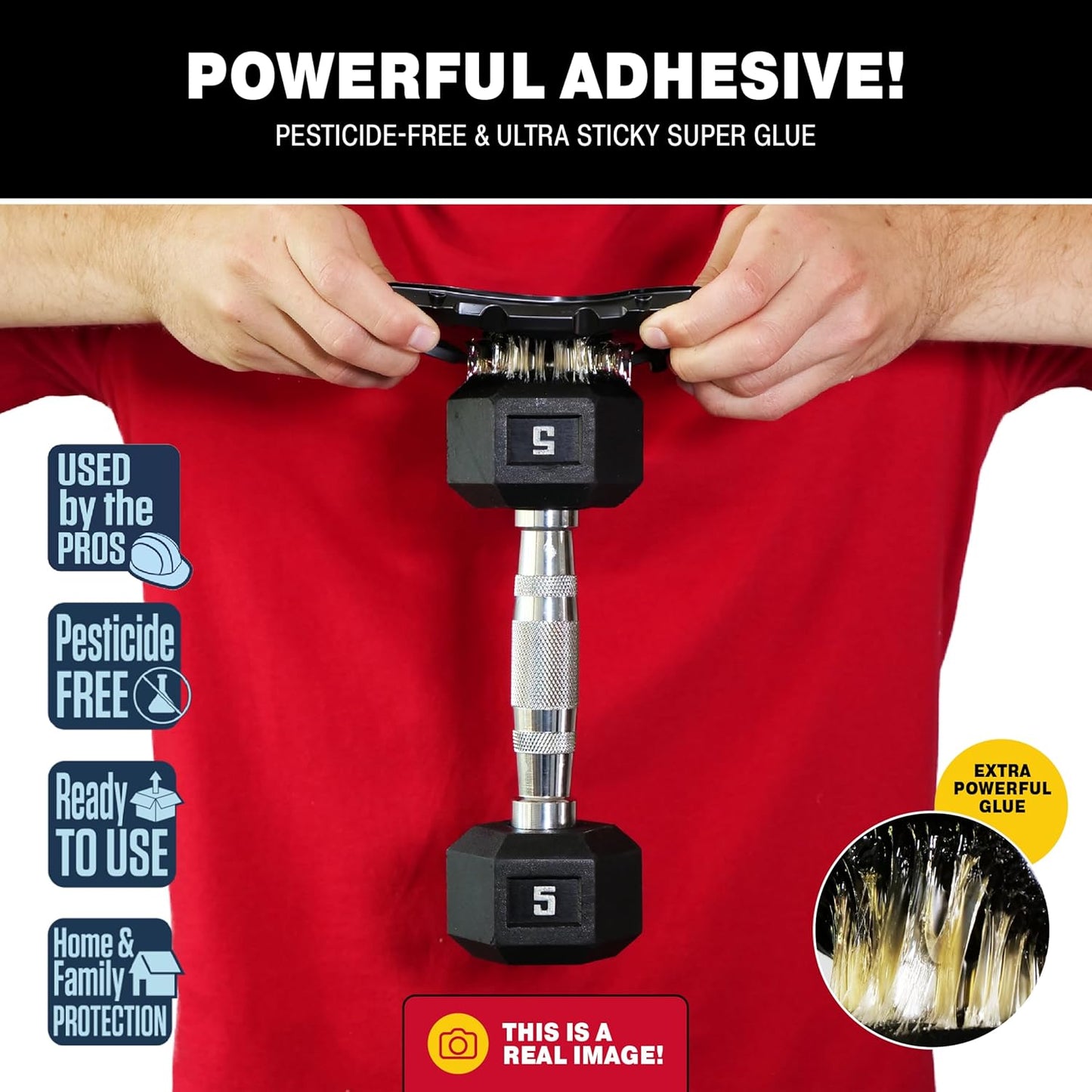 Catchmaster Mouse & Insect Glue Traps 6-Pk, Adhesive Rodent & Bug Catcher, Mouse Traps Indoor for Home, Sticky Glue Boards for Mice and Insects, Pest Control for House & Garage