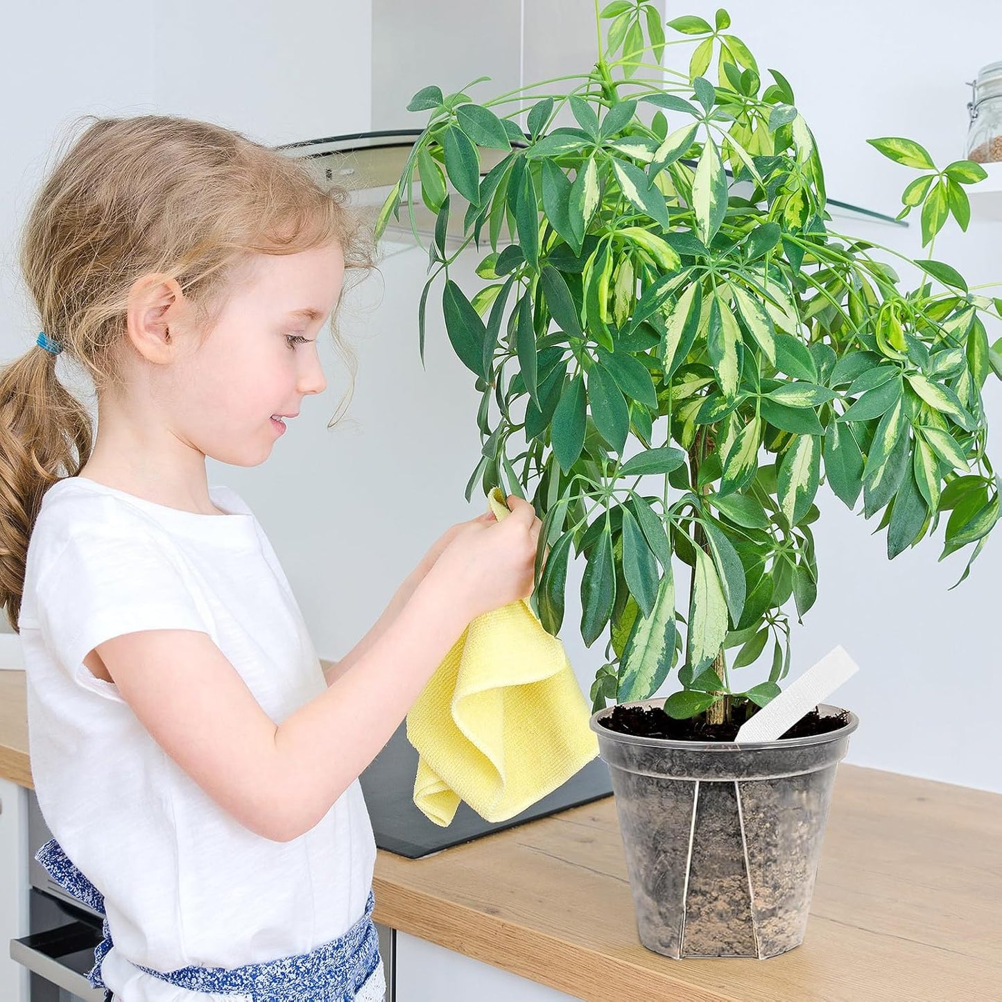 33PCS Frosted Clear Plastic Plant Pots with 33 Plant Labels 4/5/6/7/8/9 Inch Thickened PP Nursery Pots for Indoor Outdoor Plants