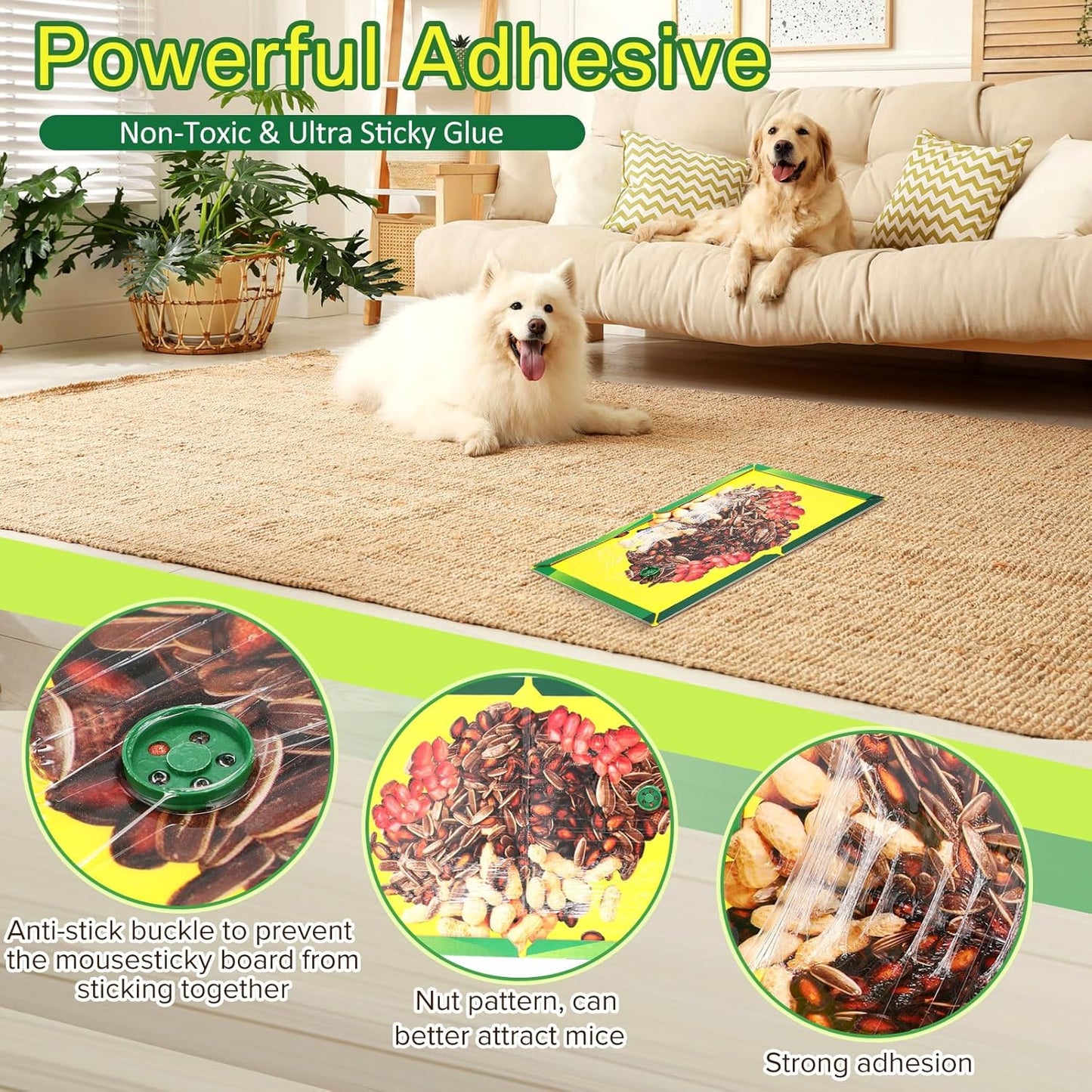 Qualirey 12 Pack Sticky Mouse Traps, Extra Large Glue Boards 8.3 x 11.8 Inch with Nut Attractant Print, Non-Toxic, Ready-to-use Indoor Rodent Catchers for Mice & Rats