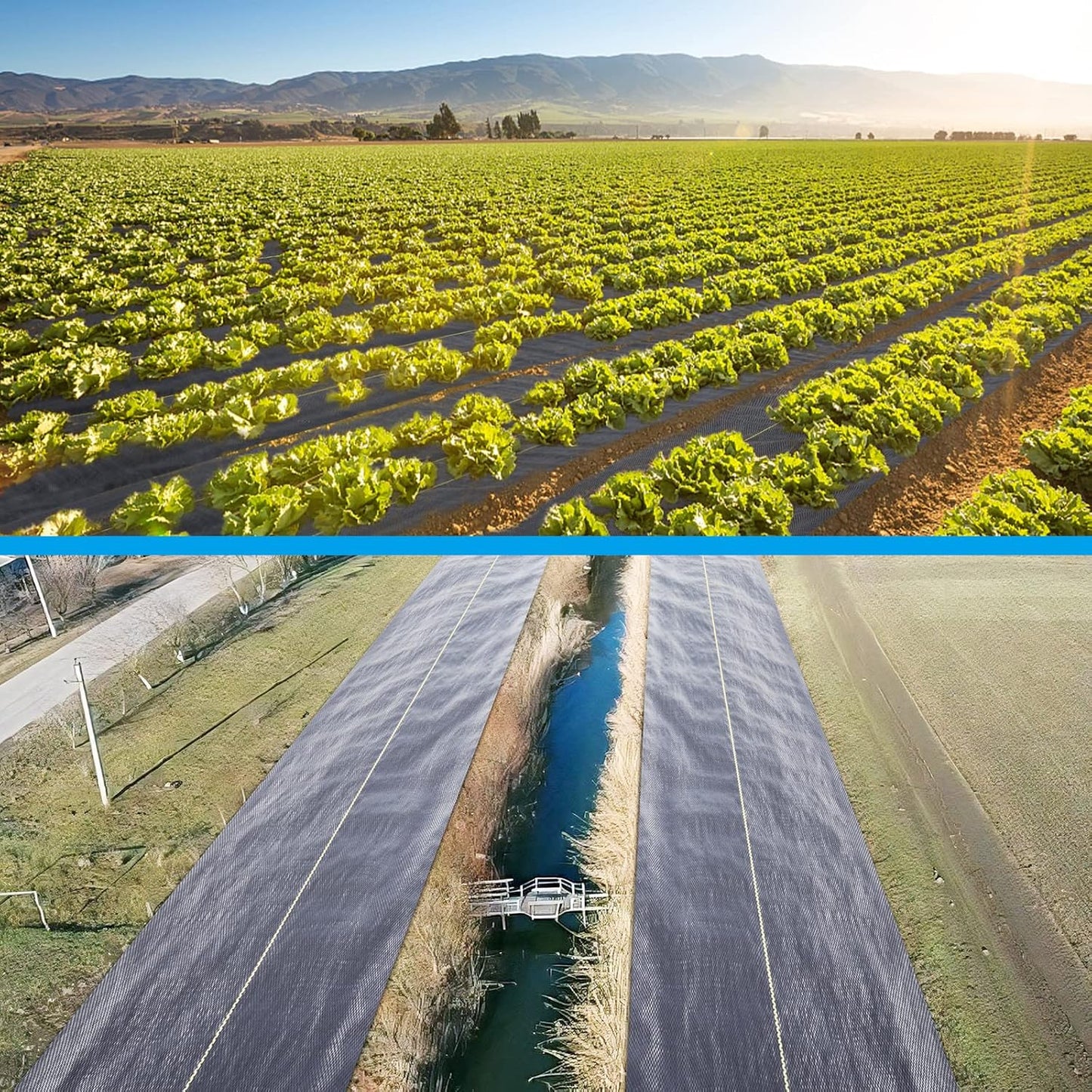 1.3ft x50ft Black Weed Barrier Landscape Premium Fabric-Heavy Duty Woven Ground Cloth with Superior Permeability Weed Control Convenient Design