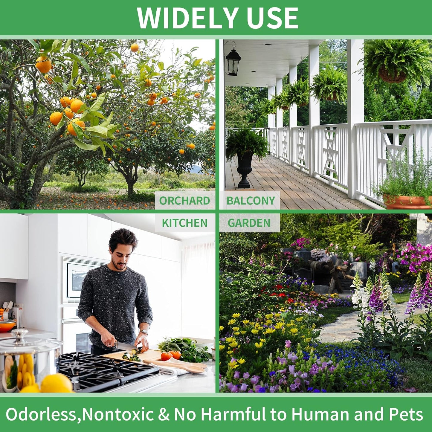 LULUCATCH Fruit Fly Sticky Traps 12 Pcs, Yellow Sticky Trap, Non-Toxic Gnat Traps Insect Catcher, Super Sticky Fly Traps for Indoor Outdoor Kitchen White Flies Mosquitos Fungus Gnats Flying Insects