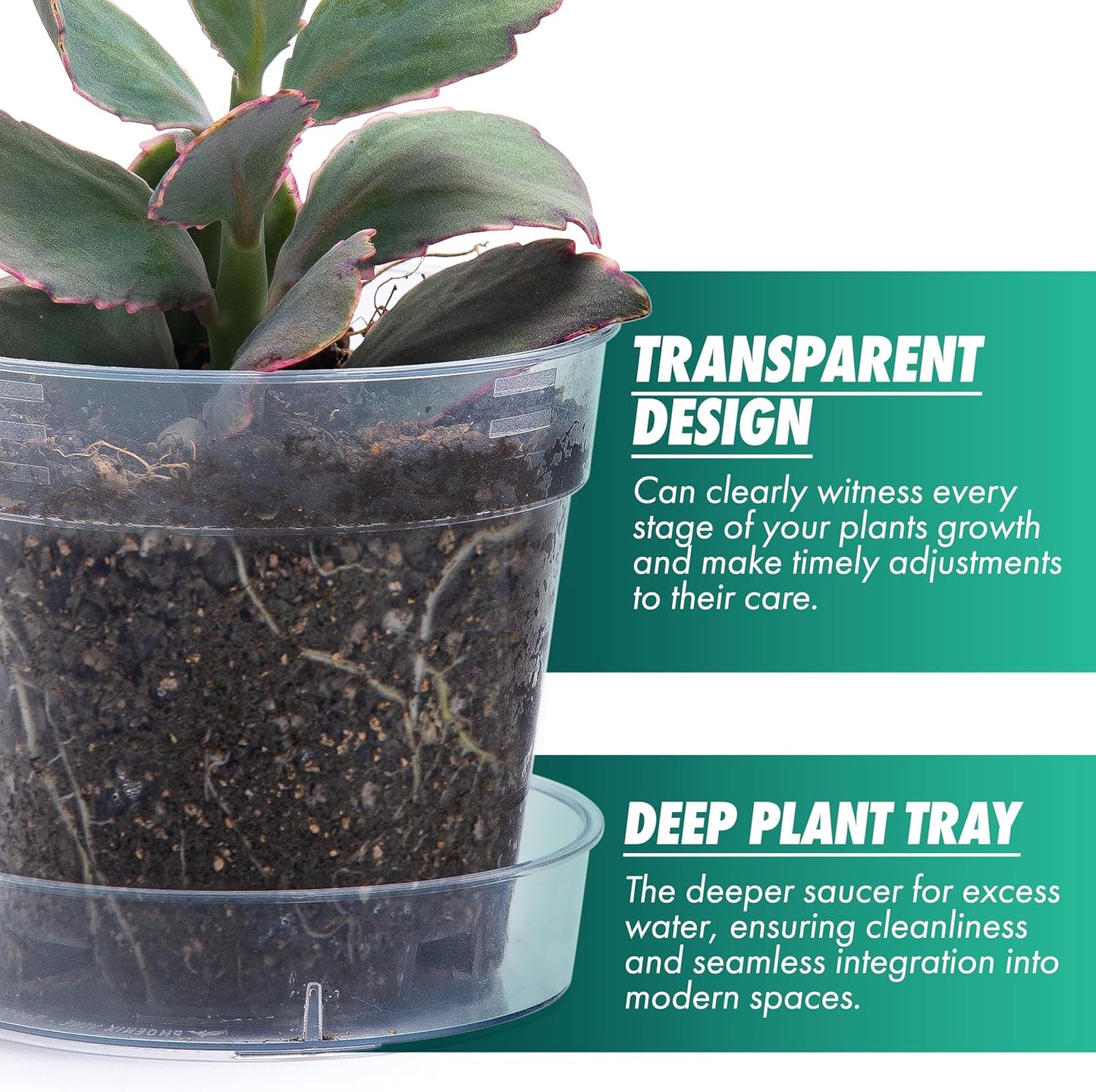 4 Inch Clear Plastic Plant Pot with Drainage Holes, Interlocking & Detachable Tray - Deep Saucer - Durable BPA-Free Plastic, Transparent Design, Raised Base for Airflow, Set of 6, 92-X-A-2