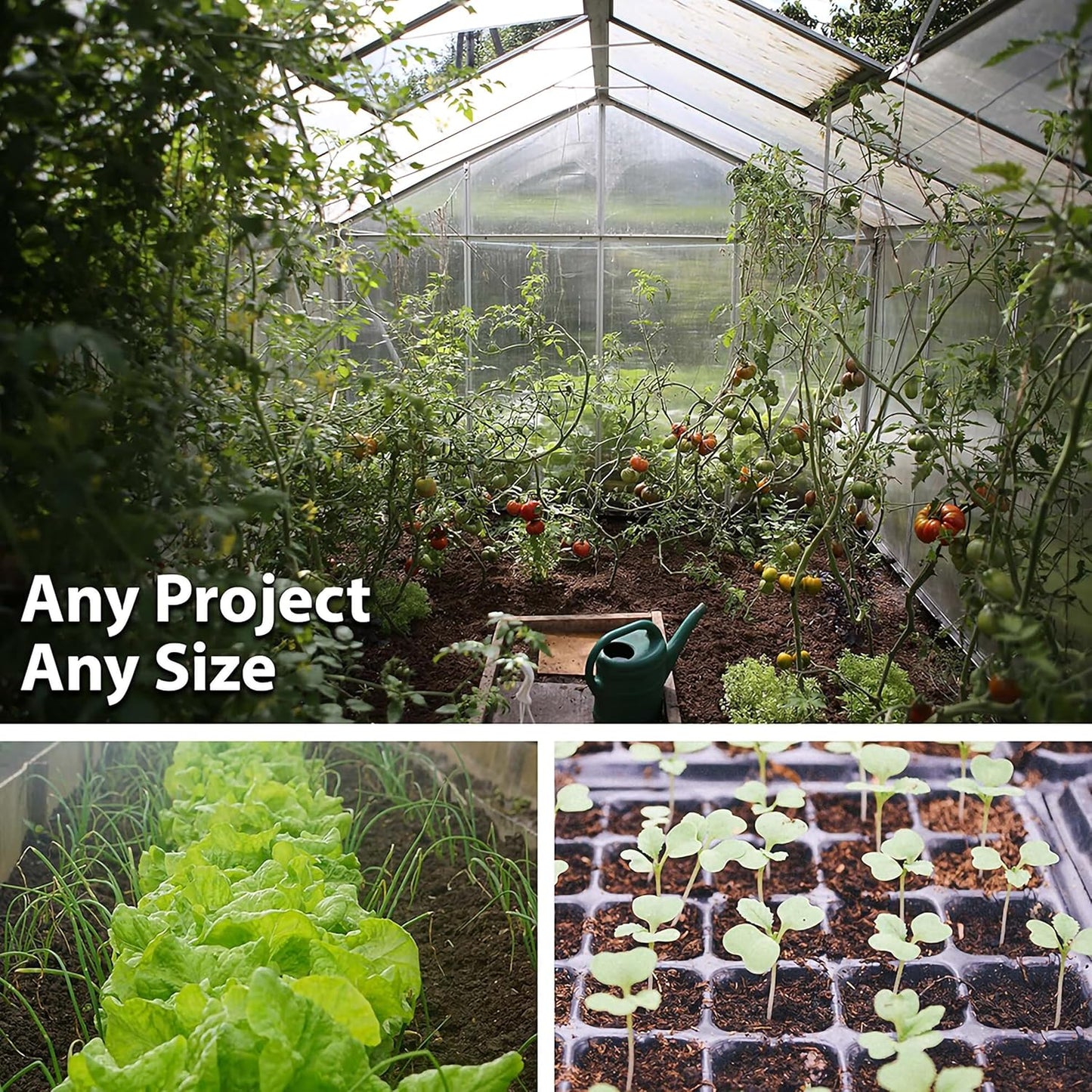 Handy Pantry Black Plastic Garden Tray Inserts - 50 Sheets of 18 Planting Pot Cells Each - 3x6 Configuration - Perforated - Nursery, Greenhouse, Gardening