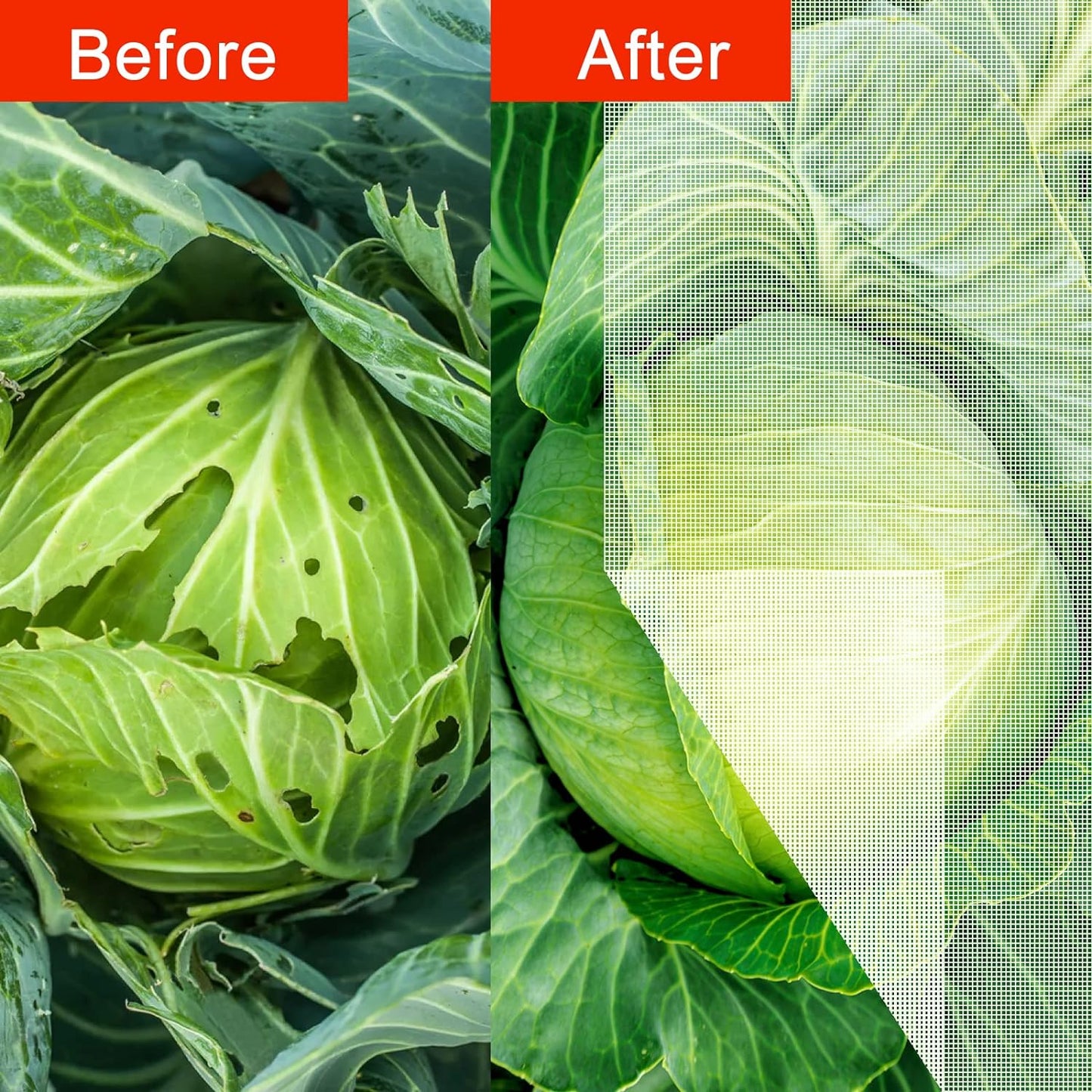 Agfabric Garden Netting 5'x10' Insect Pest Barrier Bird Netting for Garden Protection,Row Cover Mesh Netting for Vegetables Fruit Trees and Plants,White