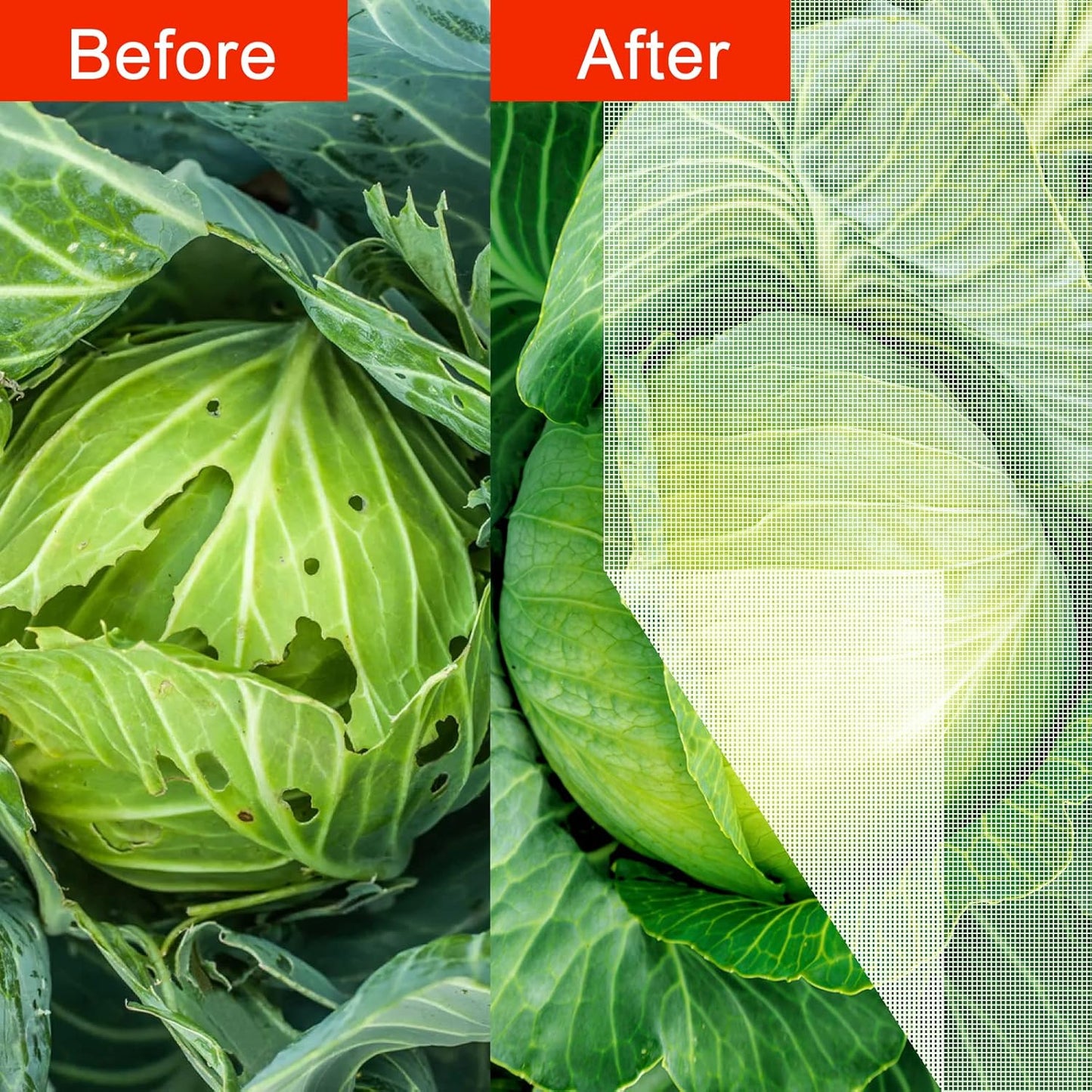 Agfabric Garden Netting 10'x15' Insect Pest Barrier Bird Netting for Garden Protection,Row Cover Mesh Netting for Vegetables Fruit Trees and Plants,White