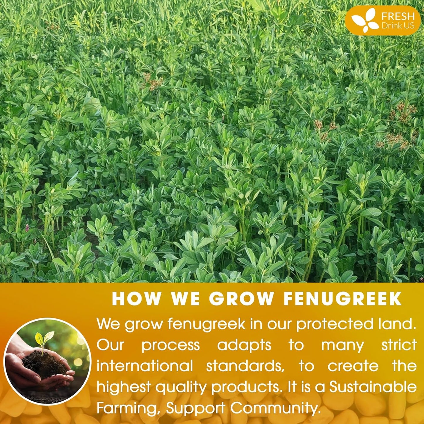 FreshDrinkUS, Premium 120 Fenugreek Tea Bags, 100% Natural & Pure from Fenugreek. Fenugreek Herbal Tea. Made with Natural Material Tea Bags. No Sugar, No Caffeine, No Gluten, Vegan.