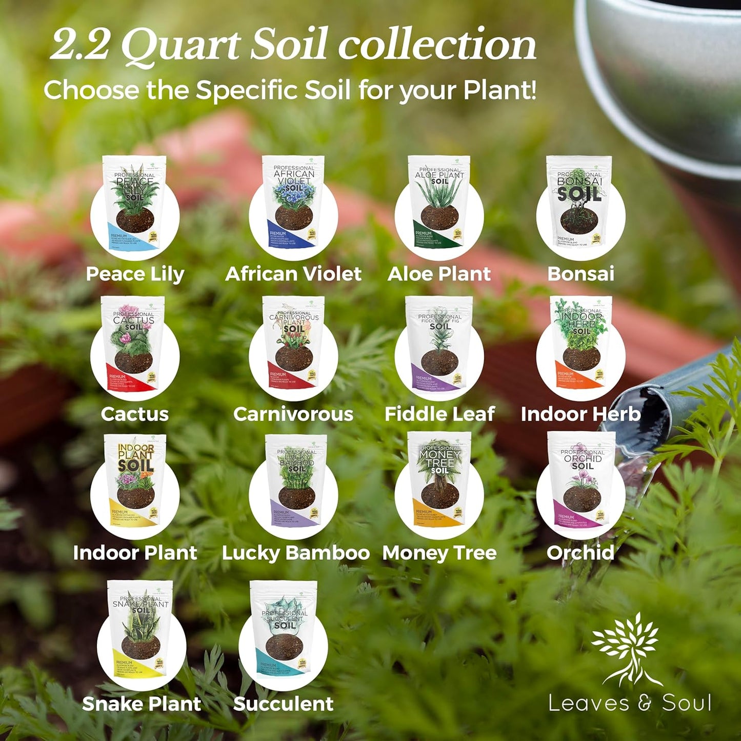 Indoor Plant Soil Premium All Purpose Blend | Large 2.2 Quarts | Ready to Use for Indoor Container and Houseplants | Peat, Coco Coir, Perlite, Dolomite | Made in USA